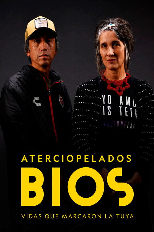 Bios, vidas que marcaron la tuya: Aterciopelados (2022) poster
