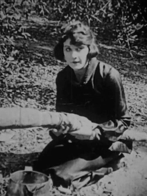 Why Wild Men Go Wild (1920) poster