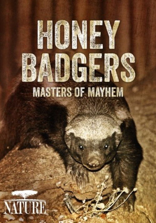 Honey Badgers: Masters of Mayhem (2014) poster