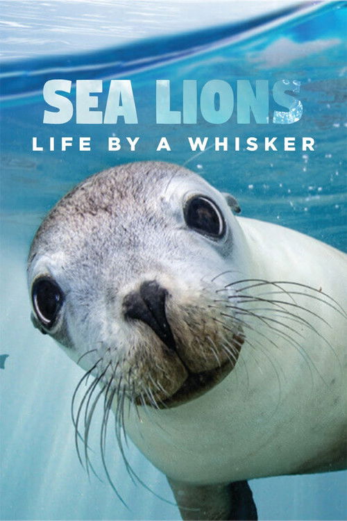 Sea Lions: Life By a Whisker (2020) poster