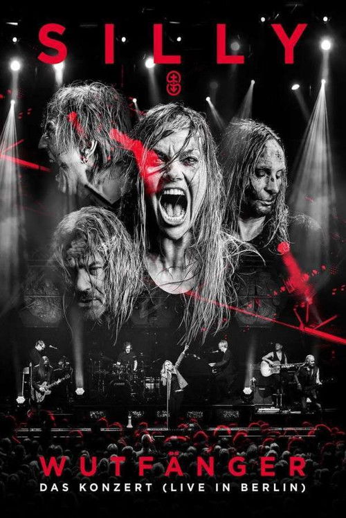 Silly - Wutfänger (2017) poster