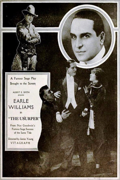 The Usurper (1919) poster