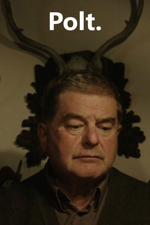 Polt. (2013) poster