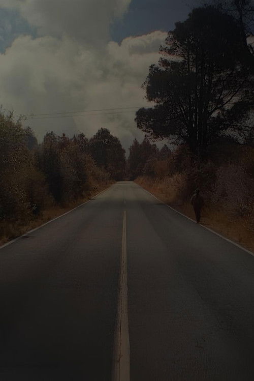 The Captivities (2023) poster