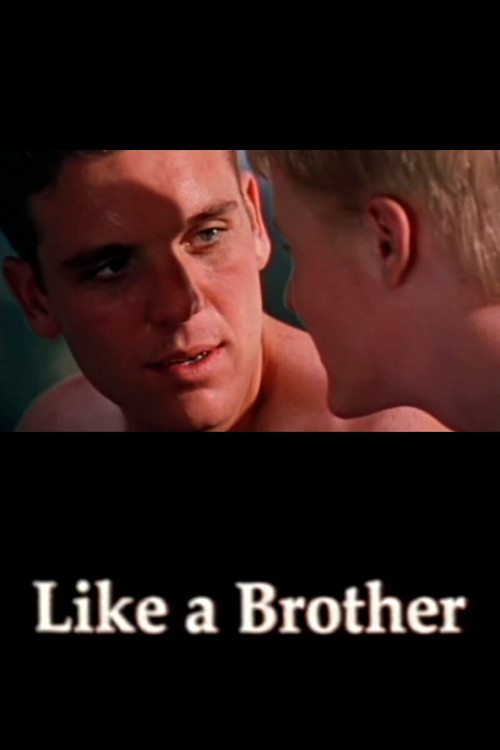 Like a Brother (2002) poster