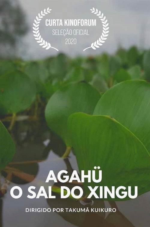 Agahü: O Sal do Xingu (2020) poster