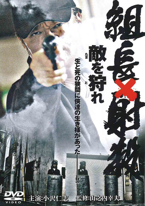 Shoot the Boss: Hunt the Enemy (2007) poster