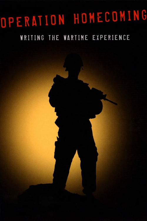 Operation Homecoming: Writing the Wartime Experience (2007) poster