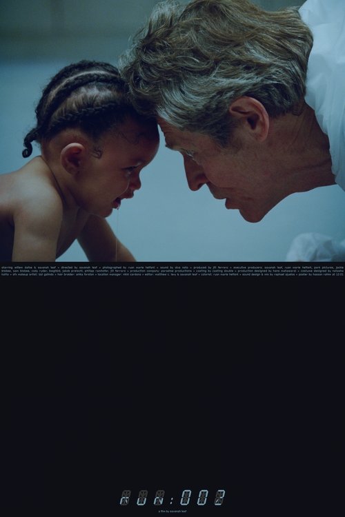 run 002 (2024) poster