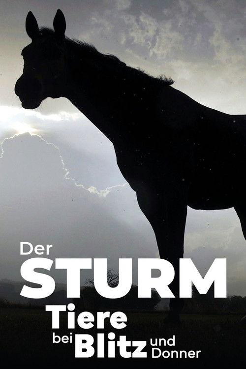 Der Sturm - Tiere bei Blitz und Donner (2023) poster