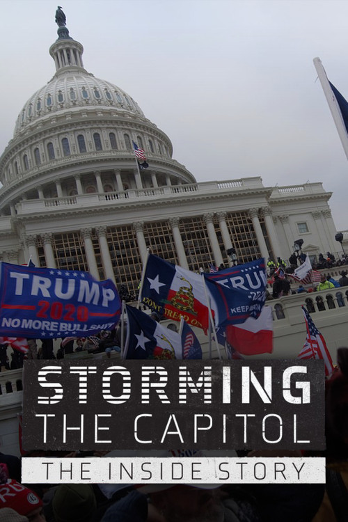 Storming the Capitol: The Inside Story (2021) poster
