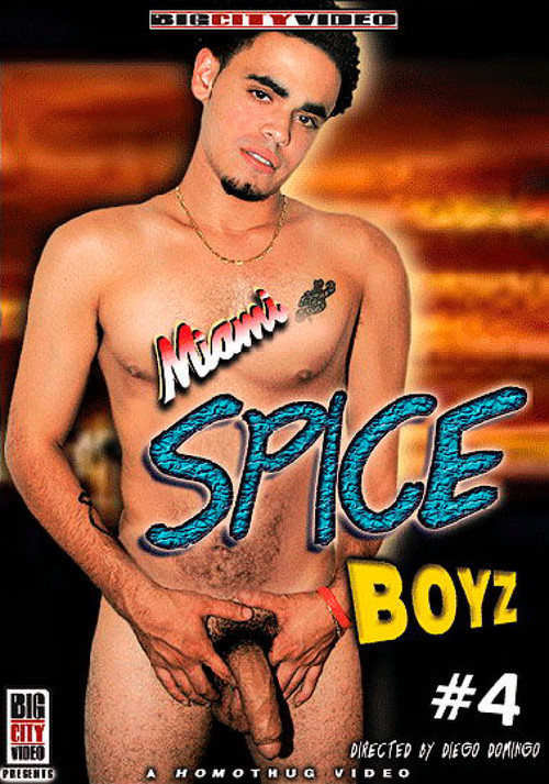Miami Spice Boyz 4 (2007) poster