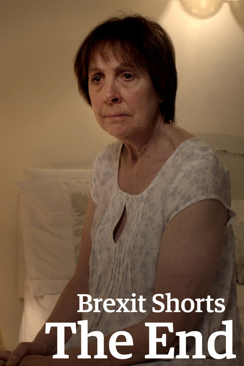 Brexit Shorts: The End (2017) poster