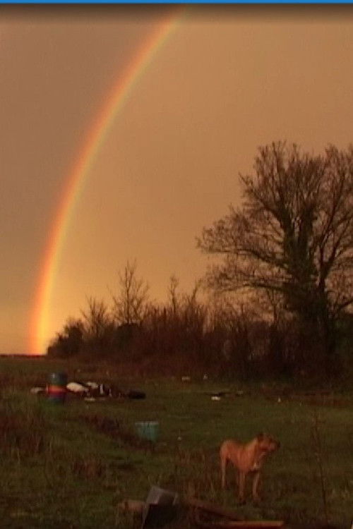 Un ange (2005) poster