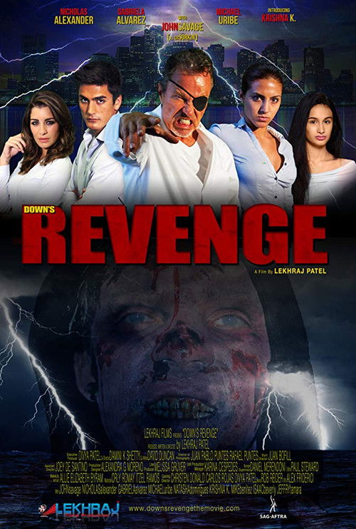Down's Revenge (2019) poster
