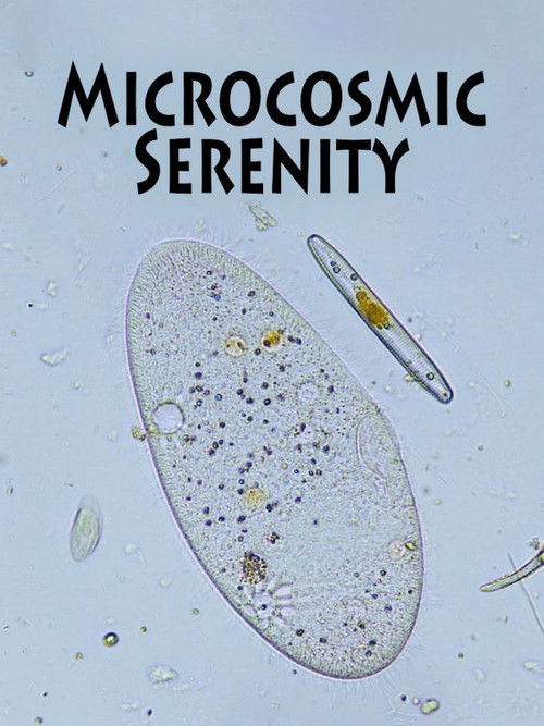 Microcosmic Serenity poster
