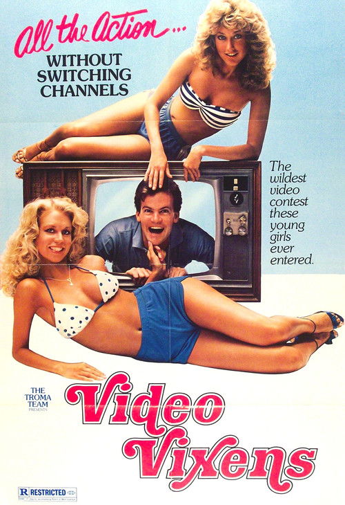 Video Vixens! (1975) poster