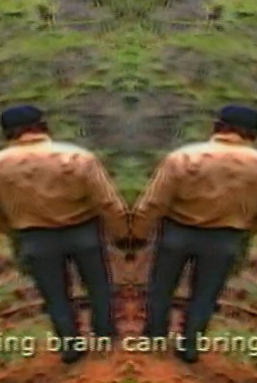 O Fortuna (2007) poster
