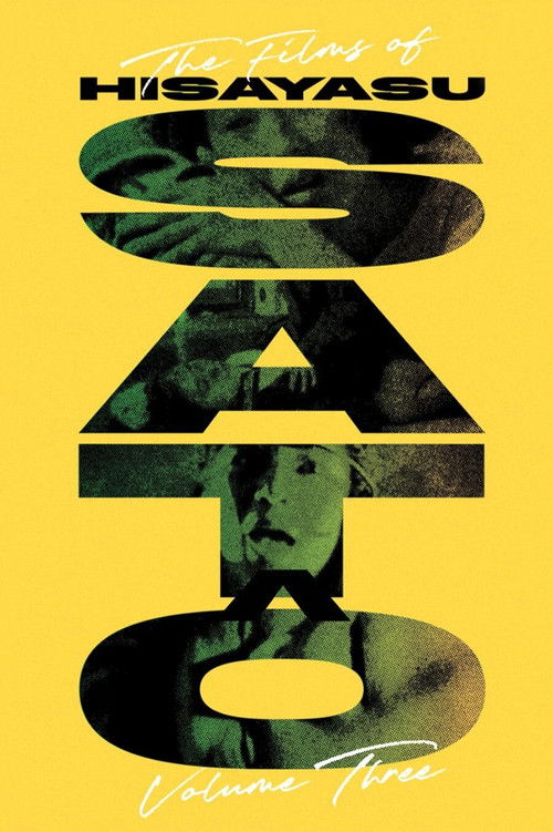 A Guide to Pink: An Interview with Yoshiyuki Hayashida (2026) poster