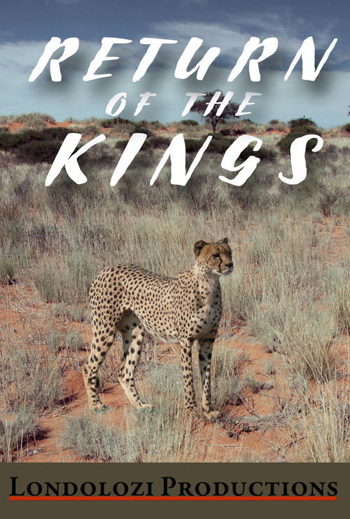 The Return of the Kings (1999) poster