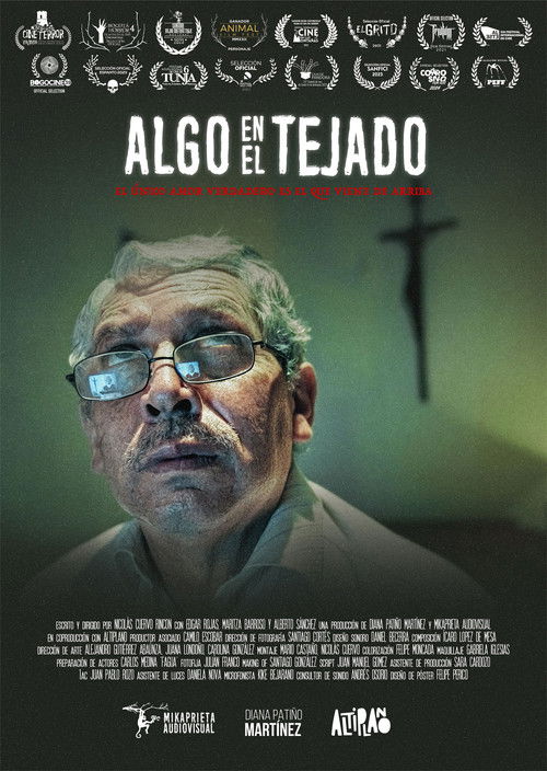 Something on the roof (2021) poster