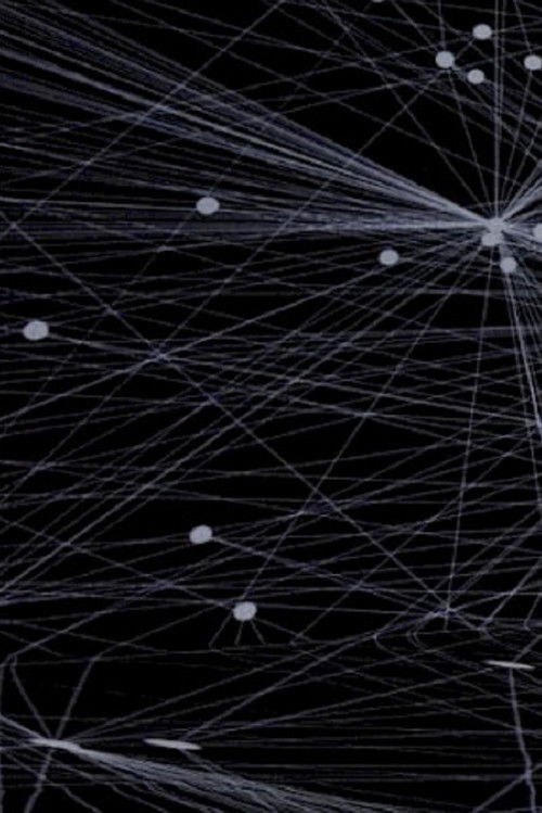 Social Geometry (2024) poster