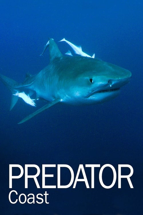 Predator Coast (2012) poster