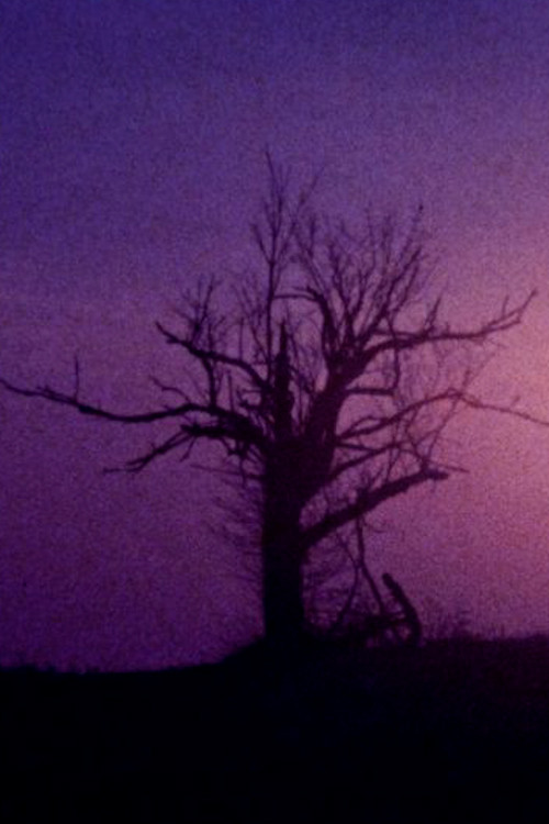 Fainter Echoes (2025) poster