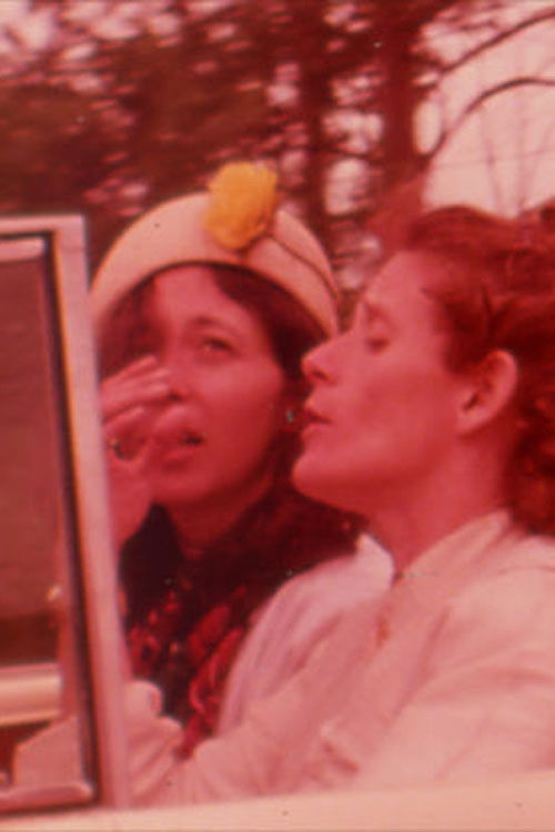 Gertrude & Alice in Passing (1978) poster