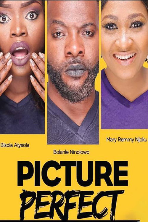 Picture Perfect (2016) poster