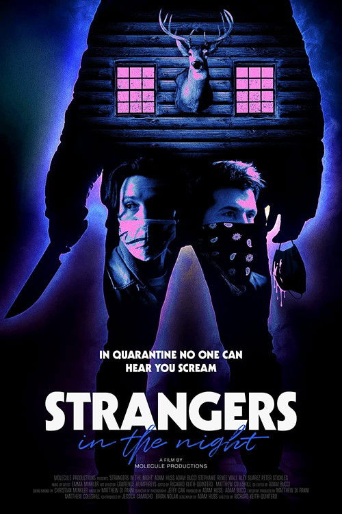 Strangers in the Night (2021) poster