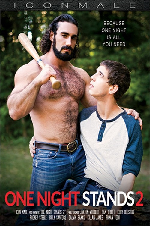 One Night Stands 2 (2020) poster