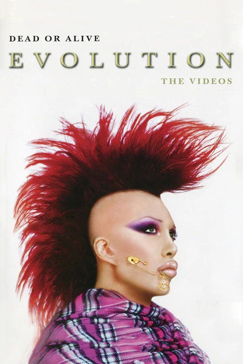 Dead Or Alive: Evolution - The Videos (2003) poster