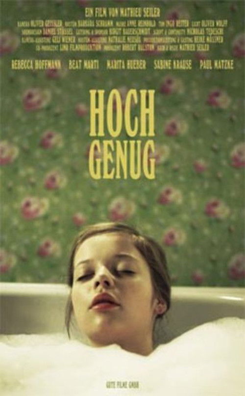 Hoch genug (2006) poster