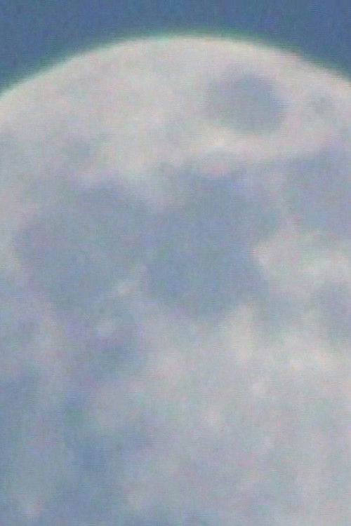 Moonwalk (2024) poster