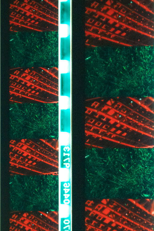 Red Green (2012) poster