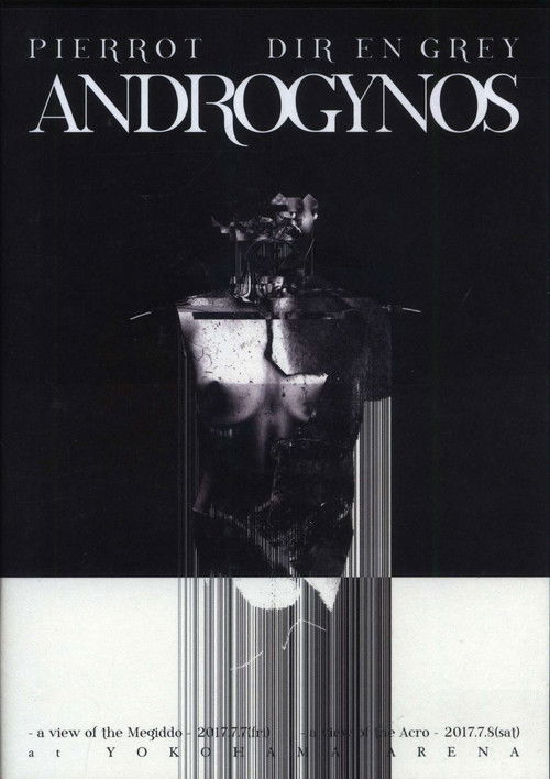 Androgynos (2017) poster