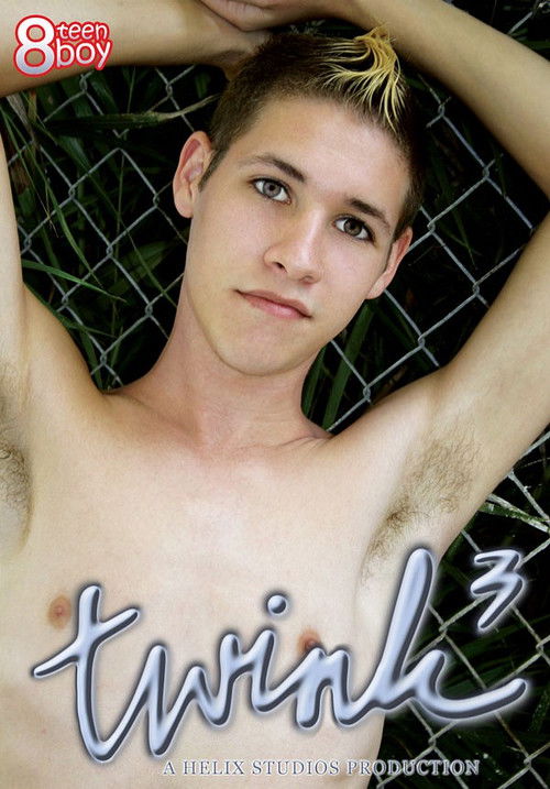 Twink 3 (2005) poster
