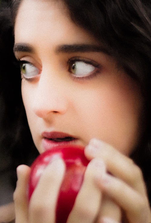 The Fall of Man (2016) poster