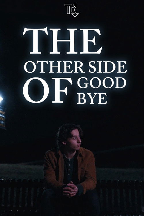 The Other Side of Goodbye (2025) poster