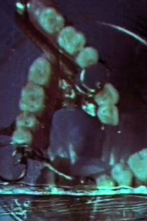 Macrozoom (1968) poster