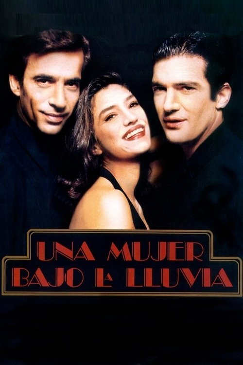 Una mujer bajo la lluvia (1992) poster