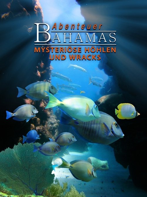 Adventure Bahamas 3D - Mysterious Caves And Wrecks (2012) poster