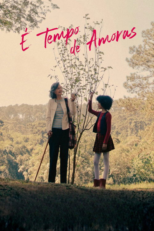 É Tempo de Amoras (2026) poster