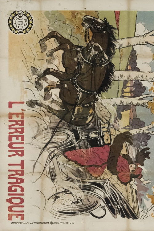 Erreur tragique (1913) poster