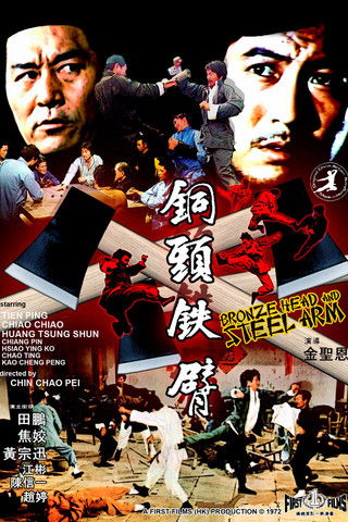 Bronze Head and Steel Arm (1972) poster