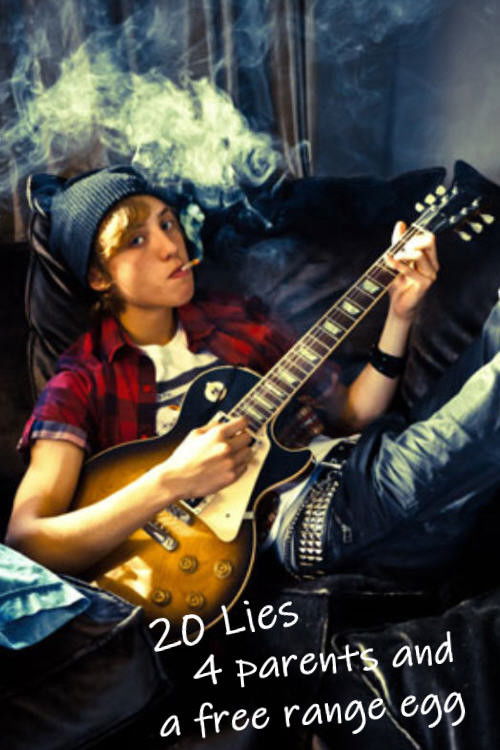 20 Lies, 4 Parents and a Little Egg (2013) poster