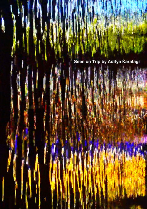 Seen on Trip (2026) poster