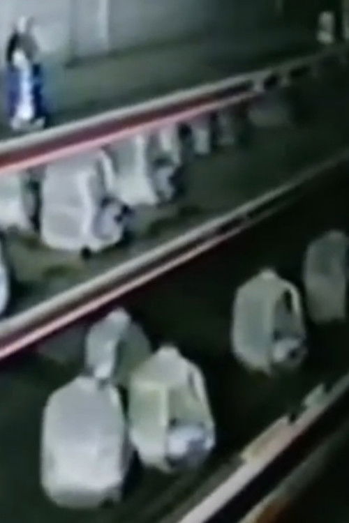 The Mexia Incident (2025) poster