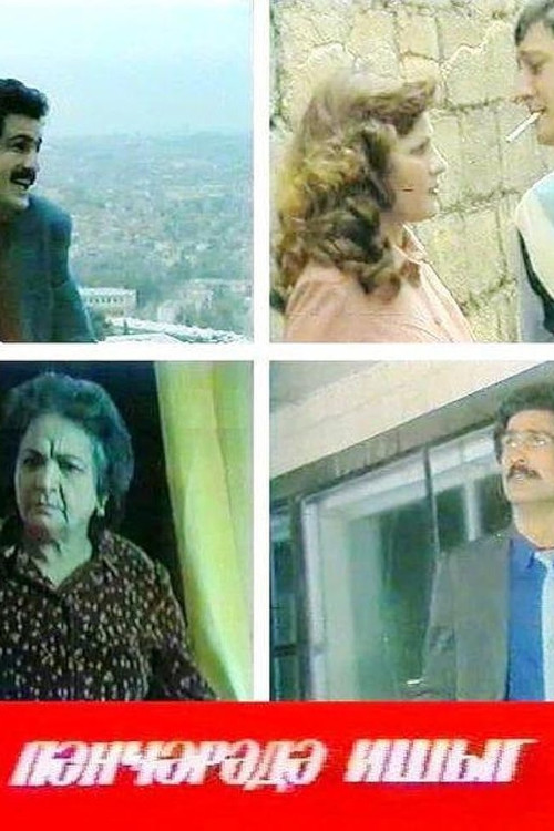 Light in the Window (1987) poster